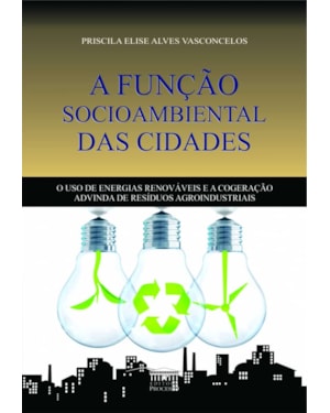 A FUNÇÃO SOCIO AMBIENTAL DAS CIDADES