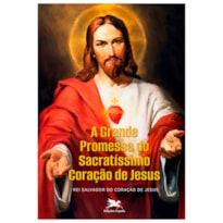 A GRANDE PROMESSA DO SACRATÍSSIMO CORAÇÃO DE JESUS
