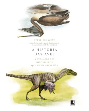 A HISTÓRIA DAS AVES: A EVOLUÇÃO DOS DINOSSAUROS QUE VIVEM ENTRE NÓS