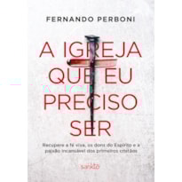 A IGREJA QUE EU PRECISO SER: RECUPERE A FÉ VIVA, OS DONS DO ESPÍRITO E A PAIXÃO INCANSÁVEL DOS PRIMEIROS CRISTÃOS