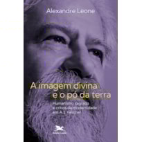 A IMAGEM DIVINA E O PÓ DA TERRA: HUMANISMO SAGRADO E CRÍTICA DA MODERNIDADE EM A. J. HESCHEL