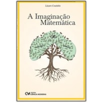 A IMAGINAÇÃO MATEMÁTICA
