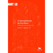 A INTERPRETAÇÃO DA ESCRITURA - COLEÇAO BIBLICA VOL. 58