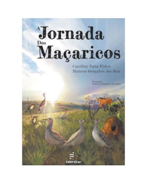 A JORNADA DOS MAÇARICOS