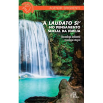 A LAUDATO SI´ NO PENSAMENTO SOCIAL DA IGREJA: DA ECOLOGIA AMBIENTAL À ECOLOGIA INTEGRAL