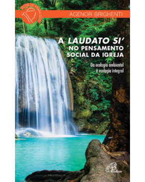 A laudato si´ no pensamento social da igreja: da ecologia ambiental à ecologia integral