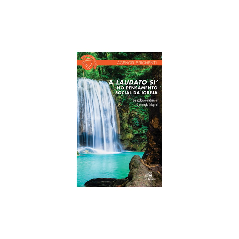A laudato si´ no pensamento social da igreja: da ecologia ambiental à ecologia integral
