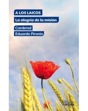 A LOS LAICOS - LA ALEGRIA DE LA MISION