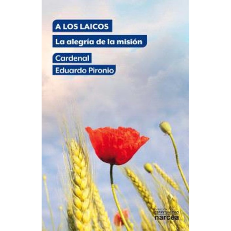 A LOS LAICOS - LA ALEGRIA DE LA MISION