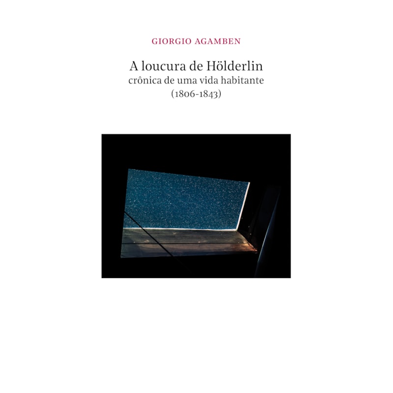 A LOUCURA DE HÖLDERLIN