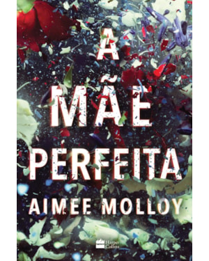A MÃE PERFEITA