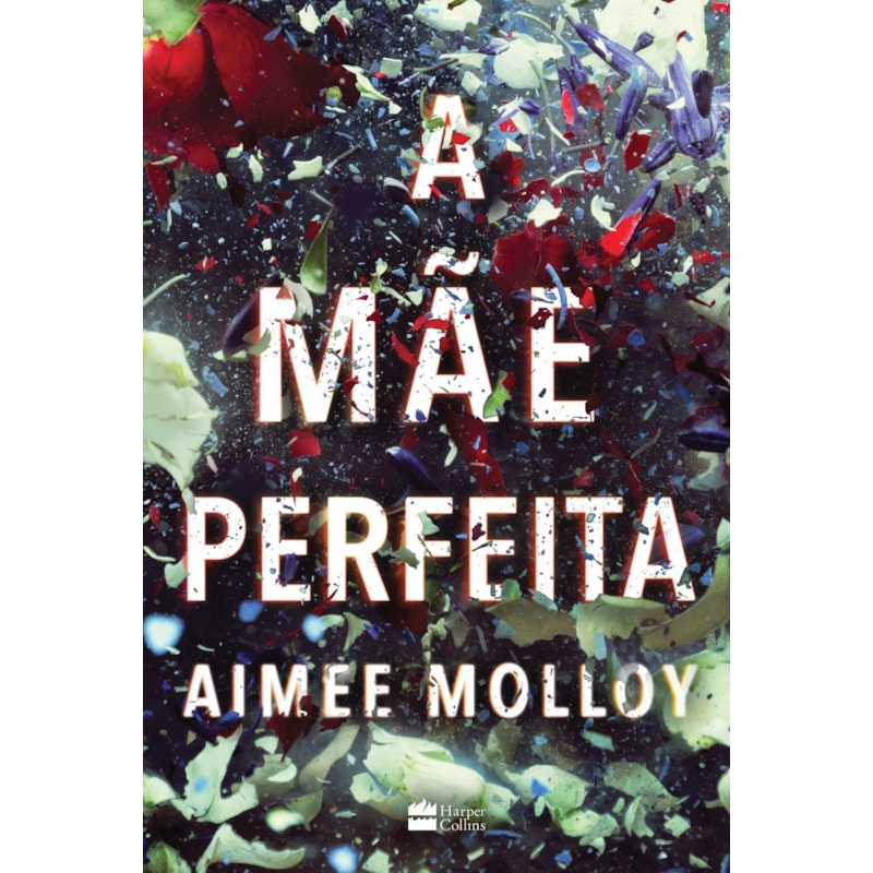 A MÃE PERFEITA