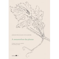 A metamorfose das plantas