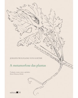 A metamorfose das plantas