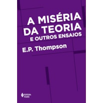 A MISÉRIA DA TEORIA E OUTROS ENSAIOS