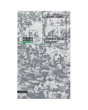 A MORTE SOCIAL DOS RIOS