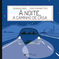 À NOITE, A CAMINHO DE CASA