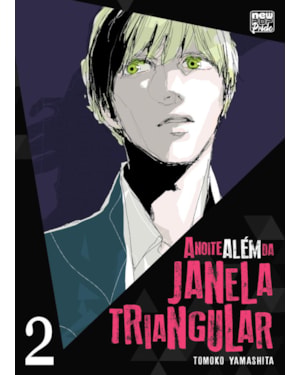 A noite além da janela triangular: volume 02