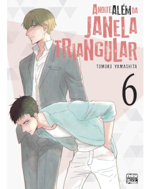A noite além da janela triangular: volume 06