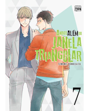 A noite além da janela triangular: volume 07