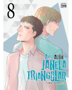 A noite além da janela triangular: volume 08