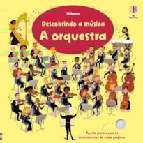 A ORQUESTRA: DESCOBRINDO A MUSICA