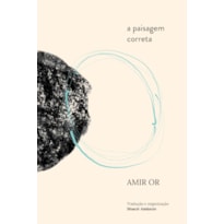 A PAISAGEM CORRETA A PAISAGEM CORRETA