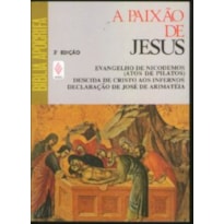 A PAIXÃO DE JESUS NOS ESCRITOS SECRETOS