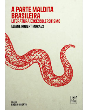 A PARTE MALDITA BRASILEIRA: LITERATURA, EXCESSO, EROTISMO