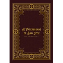 A PATERNIDADE DE SÃO JOSÉ