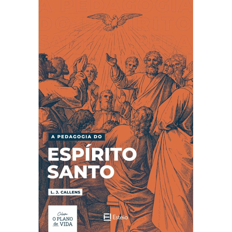 A PEDAGOGIA DO ESPÍRITO SANTO