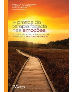 A prática da terapia focada nas emoções: compreendendo a abordagem a partir de histórias reais