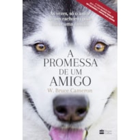A PROMESSA DE UM AMIGO