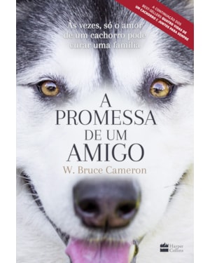 A PROMESSA DE UM AMIGO