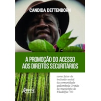 A PROMOÇÃO DO ACESSO AOS DIREITOS SECURITÁRIOS COMO FATOR DE INCLUSÃO SOCIAL DA COMUNIDADE QUILOMBOLA GROTÃO DO MUNICÍPIO DE FILADÉLFIA (TO)