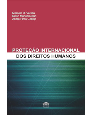 A PROTEÇÃO INTERNACIONAL DOS DIREITOS HUMANOS