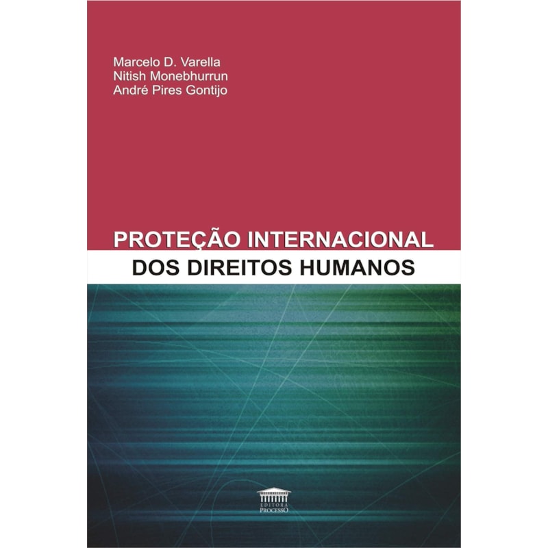 A PROTEÇÃO INTERNACIONAL DOS DIREITOS HUMANOS