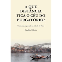 A que distância fica o céu do purgatório? um romance passado na cidade do porto