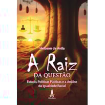 A Raiz da Questão: Estado, Políticas Públicas e a Análise da Igualdade Racial