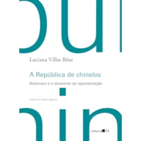 A REPÚBLICA DE CHINELOS: BOLSONARO E O DESMONTE DA REPRESENTAÇÃO