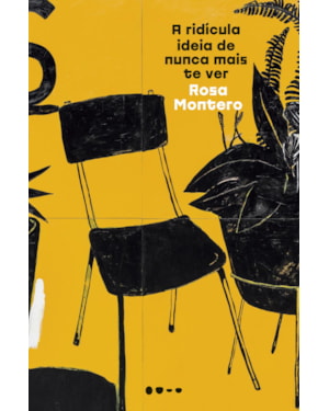 A ridícula ideia de nunca mais te ver