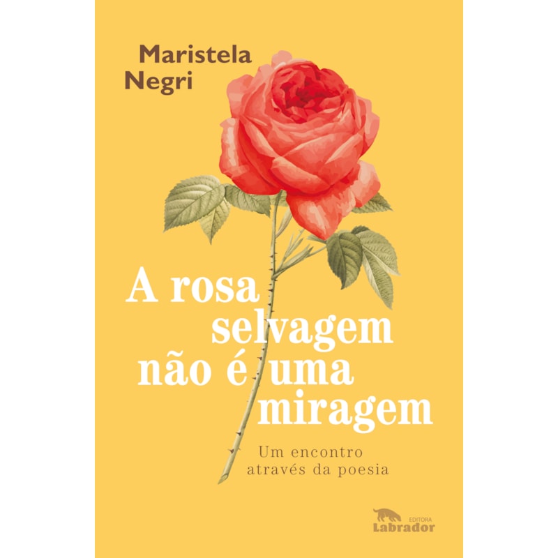 A ROSA SELVAGEM NÃO É UMA MIRAGEM: UM ENCONTRO ATRAVÉS DA POESIA