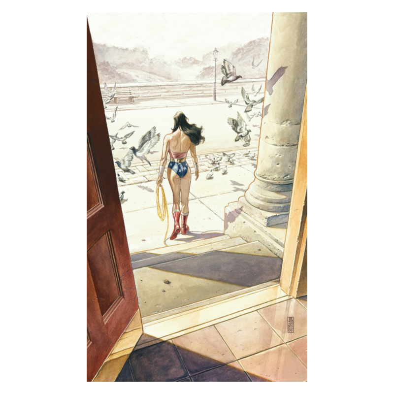 A saga da mulher-maravilha 06 (13)