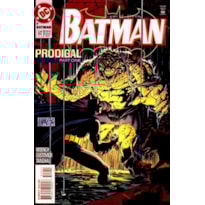 A saga do Batman vol. 17/53