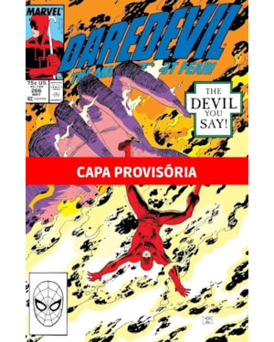 A saga do demolidor vol.05