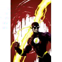 A saga do Flash 13