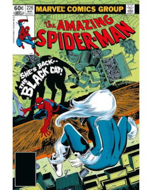A saga do homem-aranha 11