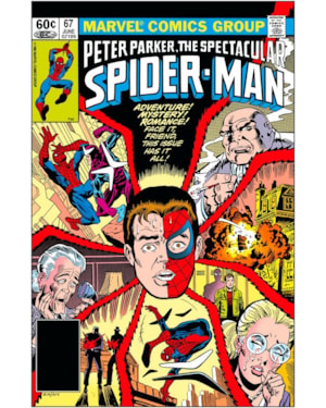 A saga do homem-aranha 13