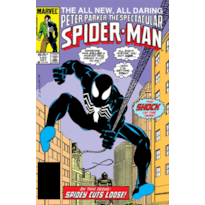 A saga do homem-aranha 13 (37)