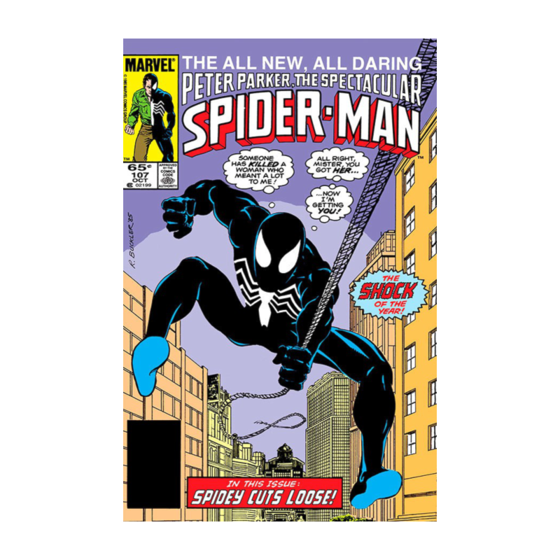 A saga do homem-aranha 13 (37)